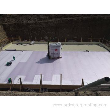 TPO Roof Smooth Version Single Ply Roofing Membrane